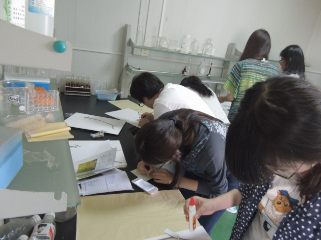 制作标本 制作标本